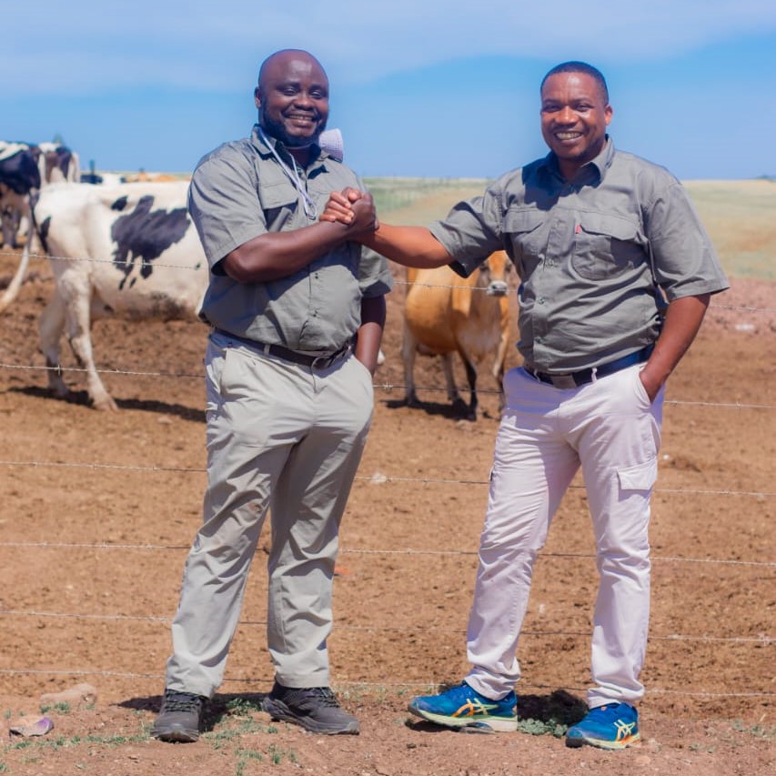 Processing grains and dairy for local & export markets