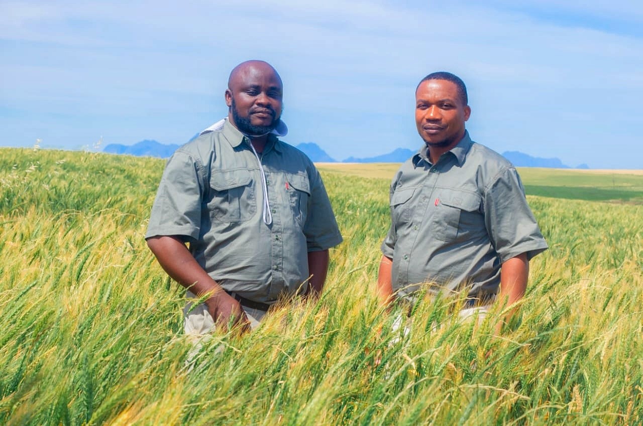 Rice, maize and mixed livestock on TriVita farms