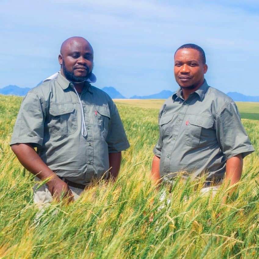 TriVita grain fields and mixed livestock