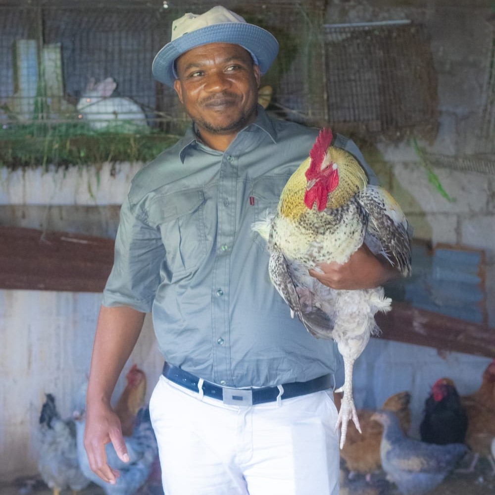 Eco-lodge stays and farm-to-table dining