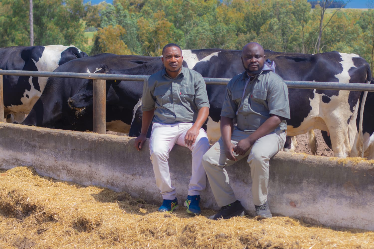 Value-added processing of grains and dairy